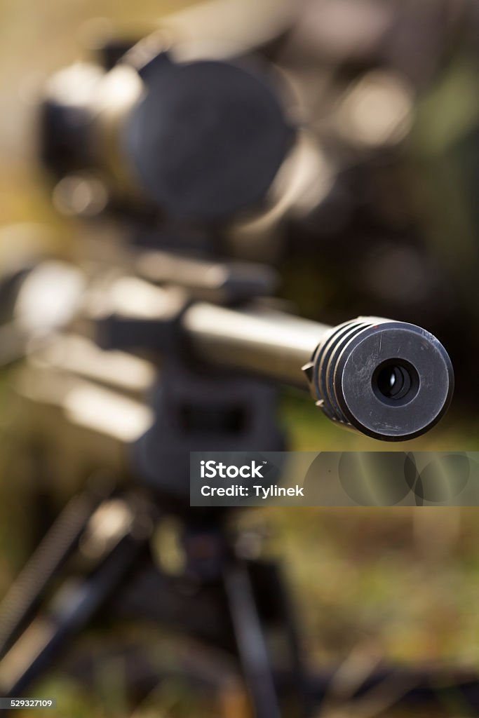 shooter: el tirador - Foto de stock de Adulto libre de derechos