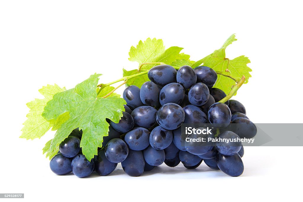 grapes Fresh grapes brunch with green leafs Blue Stock Photo