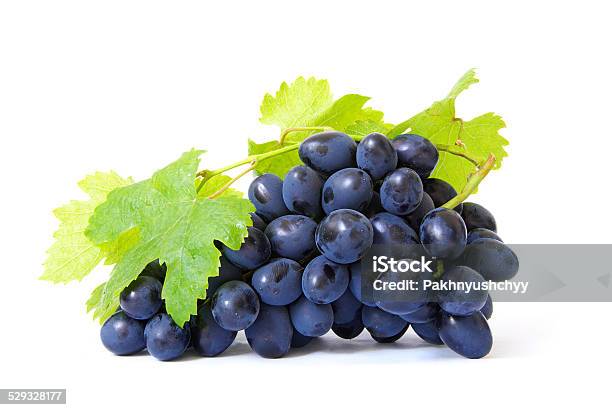 Grapes Stock Photo - Download Image Now - Blue, Branch - Plant Part, Dessert - Sweet Food