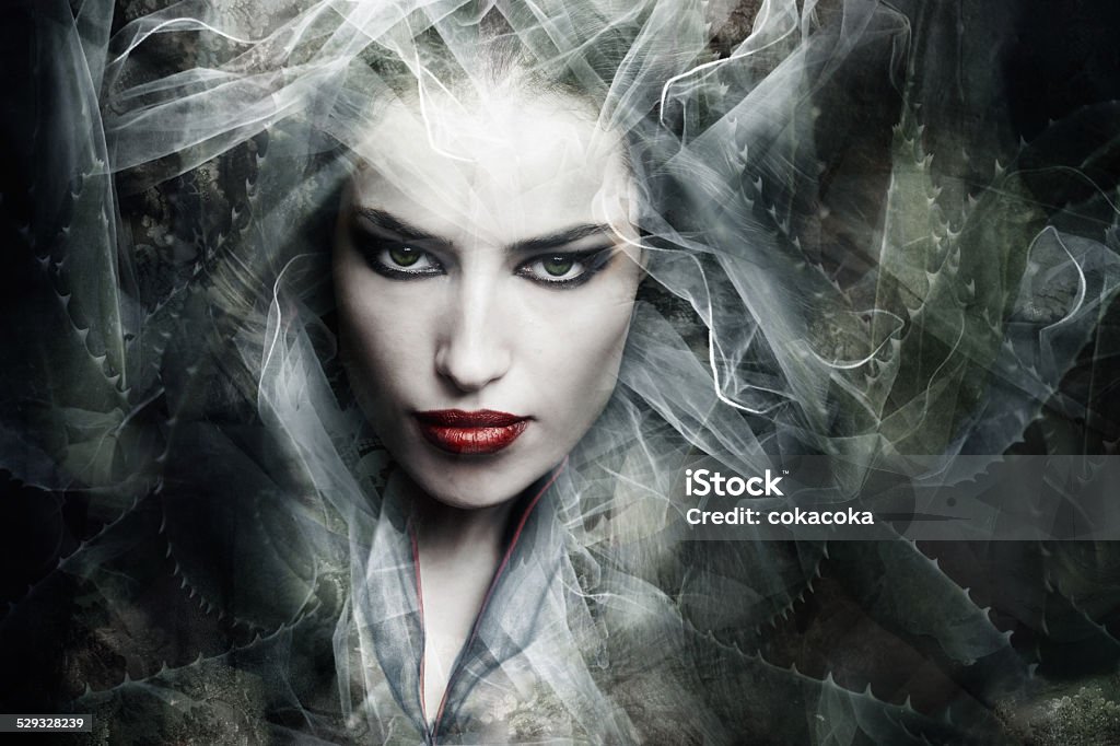 fantasy sorceress dark fantasy sorceress woman, composite photo Druidism Stock Photo