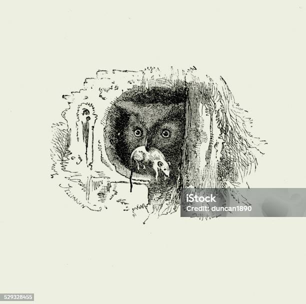 La Fontaines Fables Owl And The Mouse Stock Illustration - Download Image Now - 19th Century, Allegory Painting, Animal