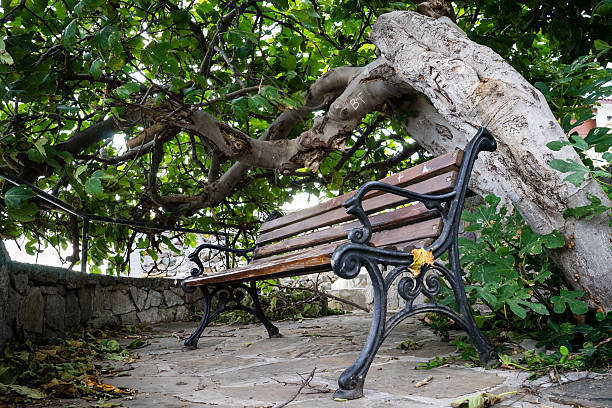 lonely bench stock photo