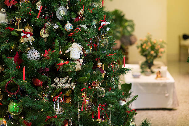 Il Natale è Una Festa Pagana 20+ Festa Pagana Stock Photos, Pictures & Royalty-Free Images - iStock