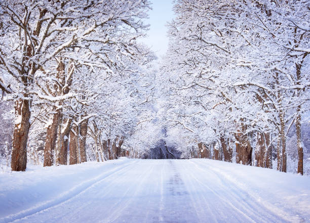 alley de neve pela manhã - snowing road winter snow - fotografias e filmes do acervo