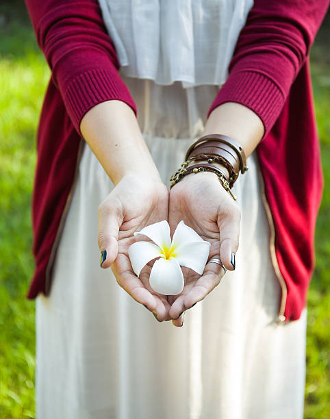 istock Plumeria flower 529355317