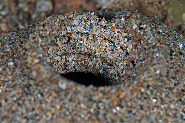 istock Sand cave entry, entrance of a sand cave 529356087