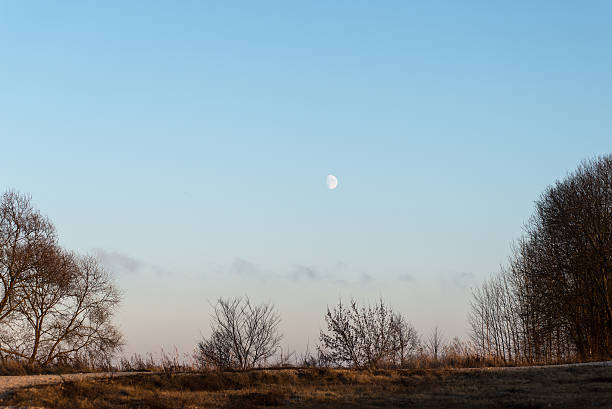 istock winter sunset with moon and plane trails in the sky 529356385