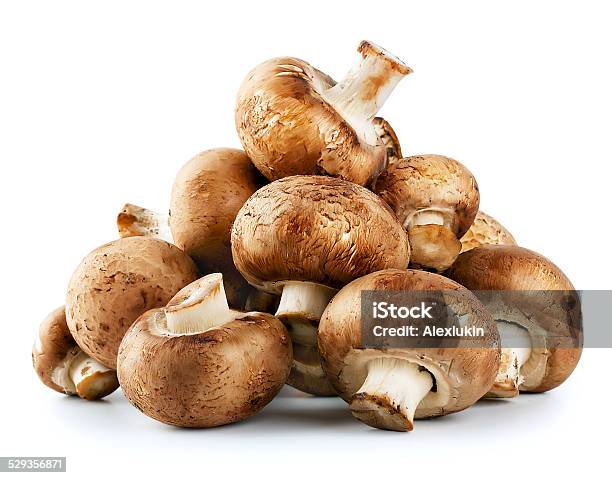 Pile Of Raw Mushrooms Stock Photo - Download Image Now - Brown, Cut Out, Edible Mushroom