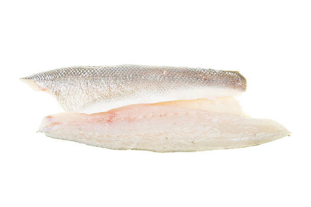 istock Sea bass fish fillets 529357529