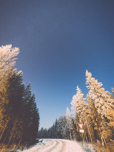 istock night sky with stars in winter night with trees. vintage 529367165