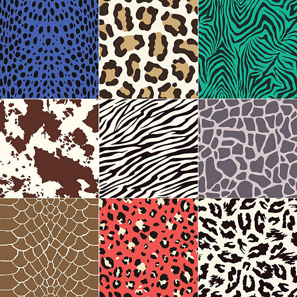 bezszwowe skóry zwierząt wzór - pattern animal tiger zebra stock illustrations