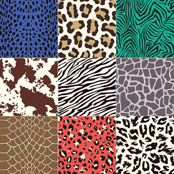 277,364 Animal Hide Stock Photos, Pictures & Royalty-Free Images - iStock | Animal  hide rug