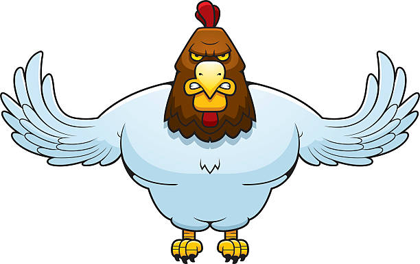 Cartoon Muscular Rooster A cartoon illustration of an rooster with its wings spread. rooster open wings stock illustrations