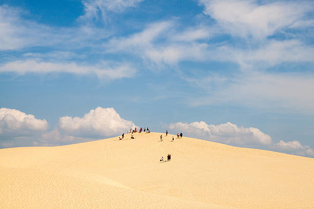 istock sand dune in France 529371789