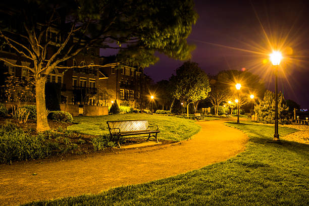 istock Path at night in a park in Alexandria, Virginia. 529371929