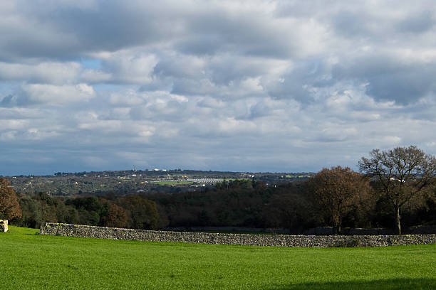 istock Rolling landscape of Puglia. 529380771