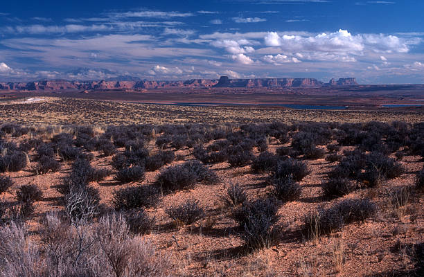 Panorama at Glen Canyon Recreation Area