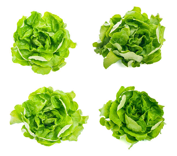 istock Collection Fresh lettuce salad isolated on white background 529385579