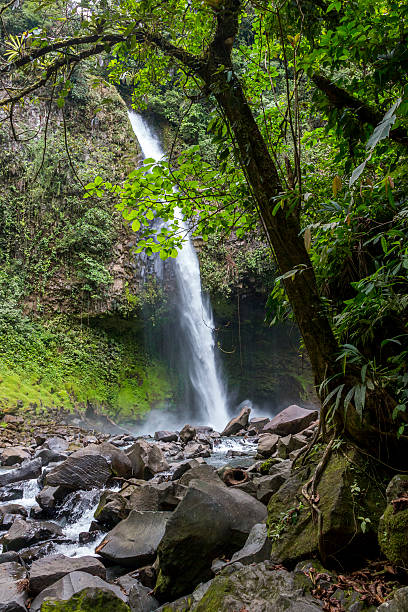 istock Waterfall in Costa Rica 529385747