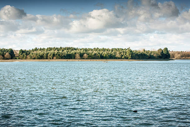 istock east hanningfield reservoir 529385829