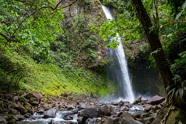 fortuna-wasserfall - costa rica waterfall heaven rainforest stock-fotos und bilder