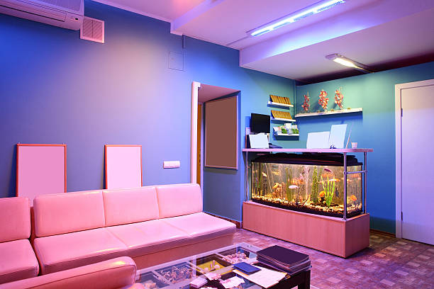 istock interior of bright european solarium 529386053