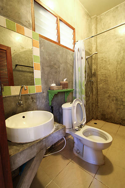 istock Bathroom in bedroom.Modern house bathroom interior 529388307