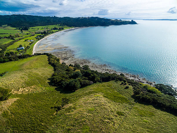 istock New Zealand countryside 529397300