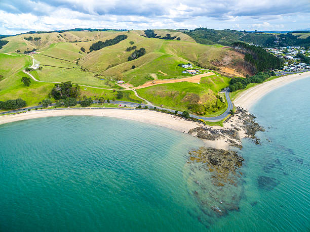 istock New Zealand countryside 529397710