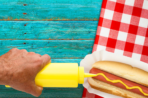 Picnic Hotdog with Mustard