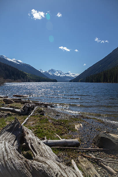 istock Vertical view along foreshore of Duffey Lake, BC 529399612