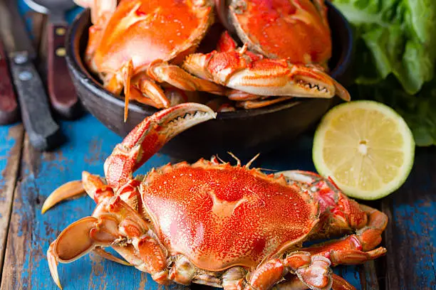 Photo of Seafood. Crabs in clay bowl on wooden background