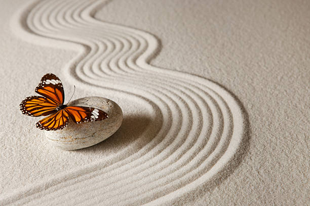 Zen butterfly Sand background with rock and butterfly japanese rock garden stock pictures, royalty-free photos & images