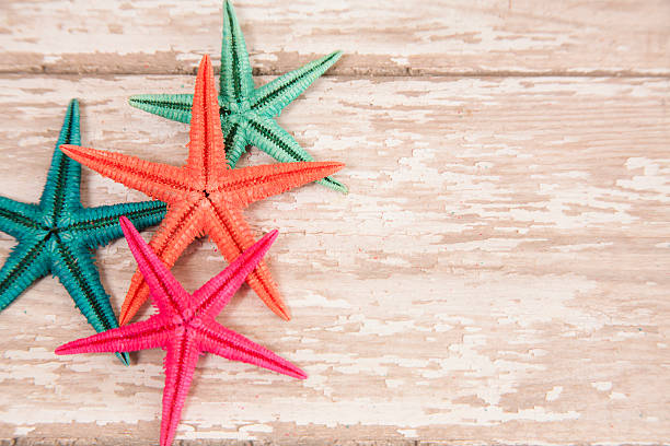istock Summer vacation.  Colorful starfish on wooden background. 529400588