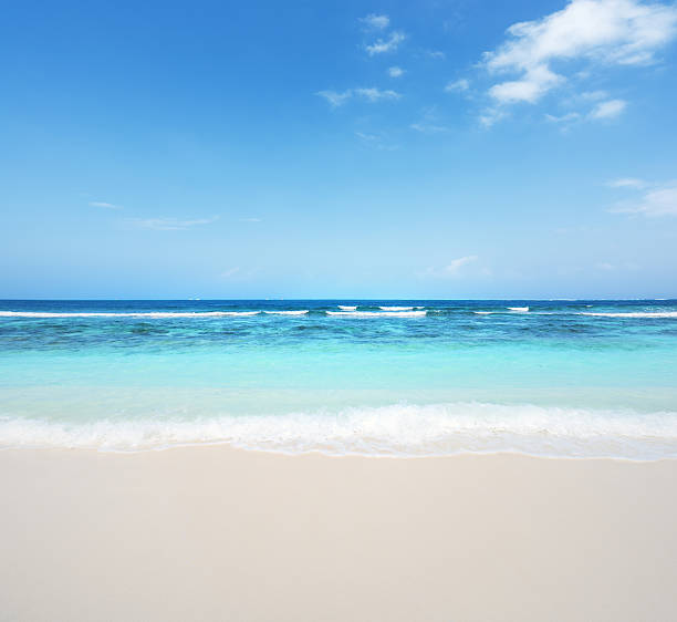 istock Paradise beach and tropical seascape 529401232