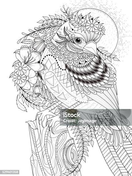 Beautiful Sparrow Adult Coloring Page Stock Illustration - Download Image Now - Adult, Coloring Book Page - Illlustration Technique, Animal