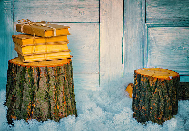 pila di libri su un palo - snow bound foto e immagini stock