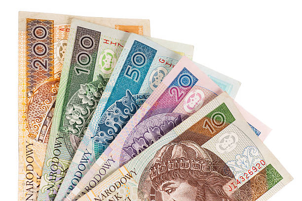 istock Money Polish Zloty 529401433