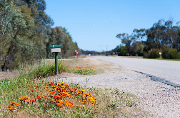 Flower beds by the road
