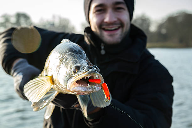 istock Catch of the day 529402417