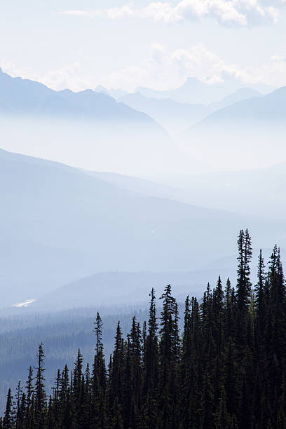 istock The view From top of the mountain 529403345