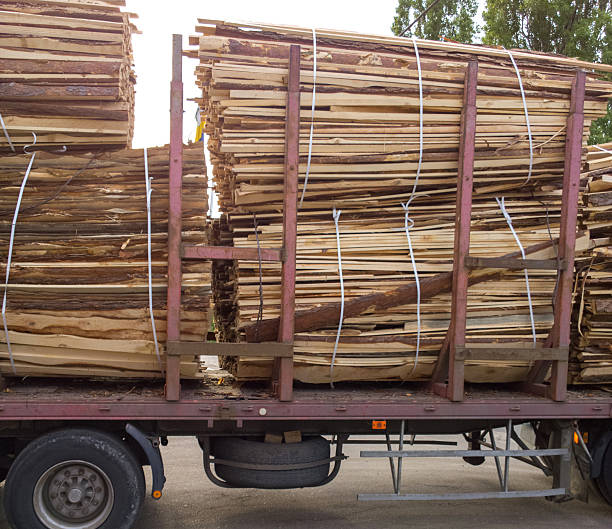 istock Firewood in the car. 529404438