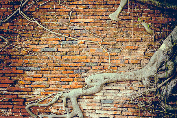 istock the old  brick wall at the temple 529404538