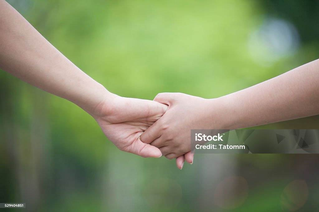 Lovers couple holding hands in a forest Adult Stock Photo