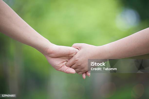 Lovers Couple Holding Hands In A Forest Stock Photo - Download Image Now - Adult, Affectionate, Bonding
