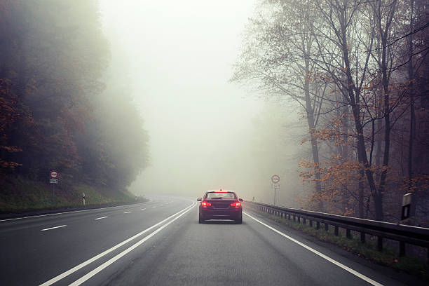 istock Autumnal road through forest - fog 529407283