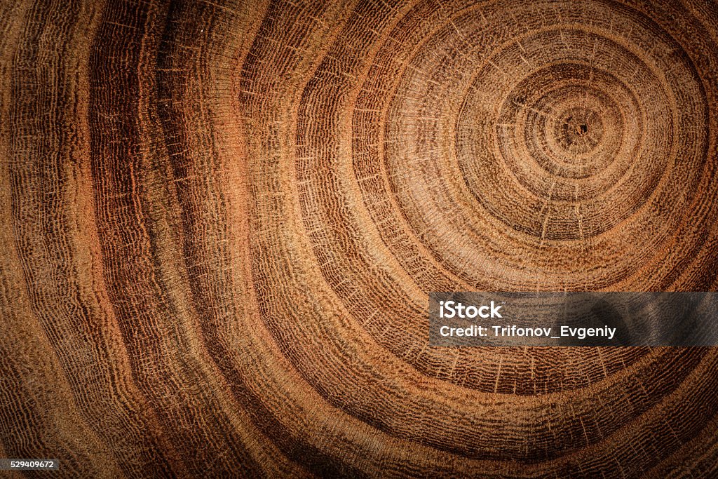 Sfondo in legno - Foto stock royalty-free di Natura