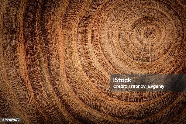 Wooden Background Stock Photo - Download Image Now - Nature, Wood - Material, Tree