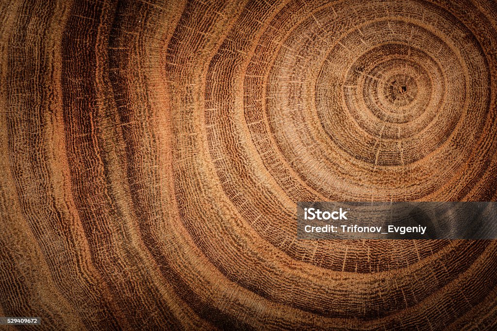 Fundo de madeira - Royalty-free Natureza Foto de stock Fundo de madeira - Royalty-free Natureza Foto de stock