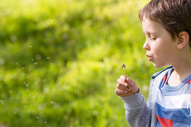 istock Children's Day.  Sweet little boy blowing dandelion 529414914